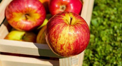 Paso a paso: el truco para que las manzanas no cambien de color al pelarlas