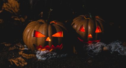 El truco para decorar tus calabazas y ser el rey de Halloween