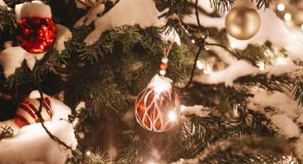 En pocos pasos, 3 trucos para poner las luces en el árbol de Navidad