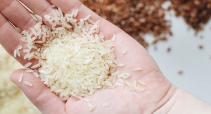 Cuál es la razón secreta por la que los japoneses no engordan al comer arroz