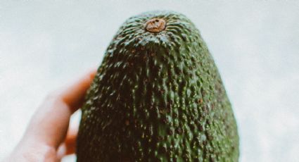 ¿Qué pasa si no lavo la palta antes de cortarla?