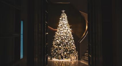 3 árboles de Navidad para decorar tu casa de manera fácil y en poco tiempo