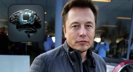 ¿Cuánto falta para que Elon Musk comience a implantar chips en cerebros humanos?