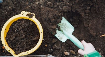 Primavera: cómo hacer compost casero para tener un jardín de ensueño