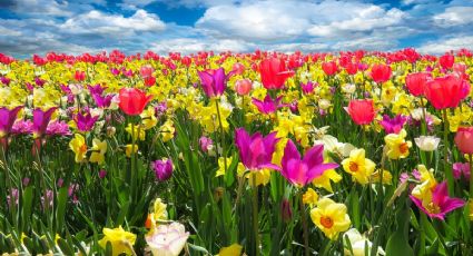 Así se ve el equinoccio de primavera desde el espacio