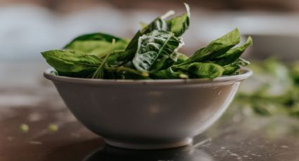 Día Mundial de la Espinaca: 3 recetas imperdibles con este vegetal