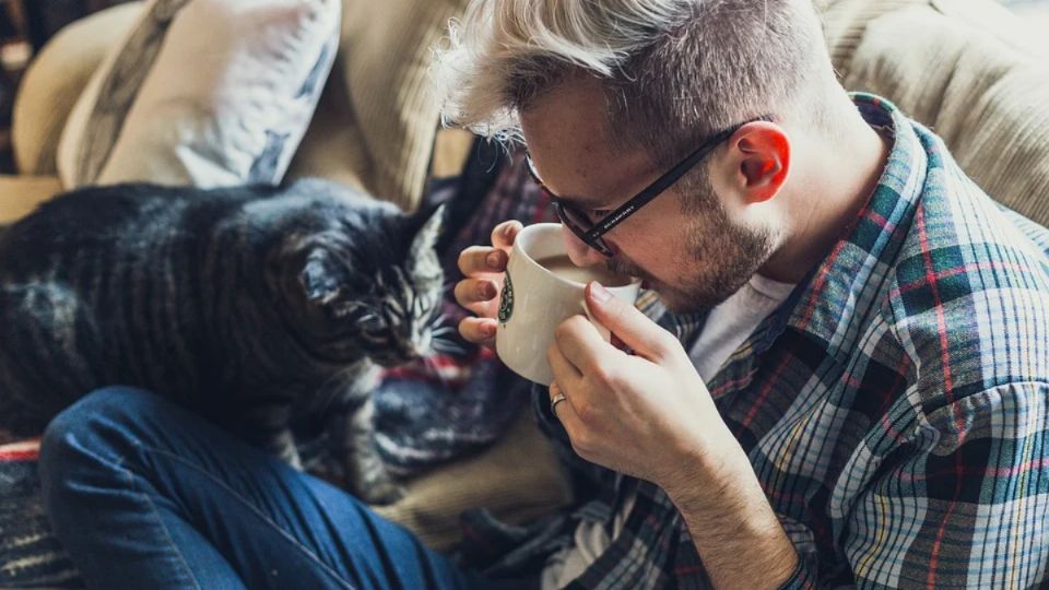 Si tu gato pretende estar encima tuyo, en la nota te contamos la explicación.