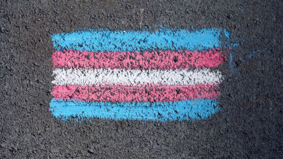 Día Internacional de la Visibilidad Trans. Fuente: Pexels