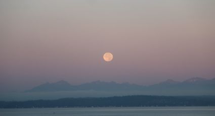 Luna Rosa en México: todo lo que debes saber fenómeno astronómico de este 16 de abril