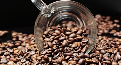 4 alimentos naturales que tienen café y no lo sabías