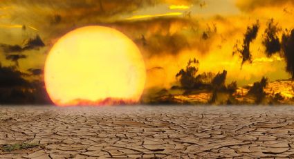 Cuáles fueron las olas de calor más extremas de la historia