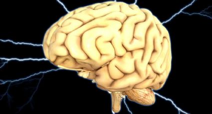 Esta es la temperatura que puede alcanzar el cerebro humano, según la ciencia