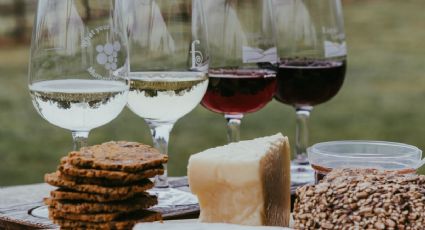 Conoce por qué se celebra hoy el Día Internacional del Sommelier