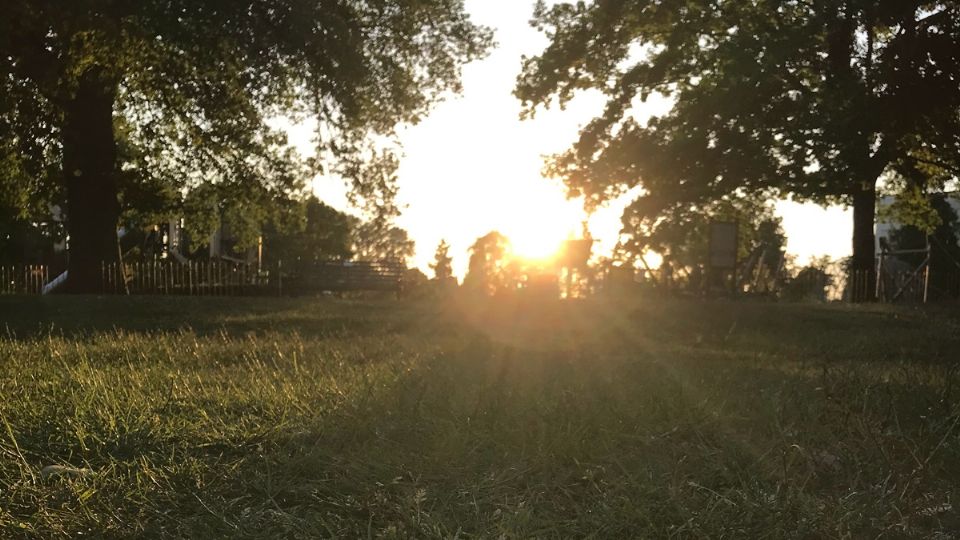 El solsticio de verano es este 21 de junio pasadas las 11. Fuente: UnSplash.
