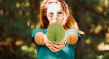 Día Mundial del Medioambiente: ¿por qué se celebra este 5 de junio?