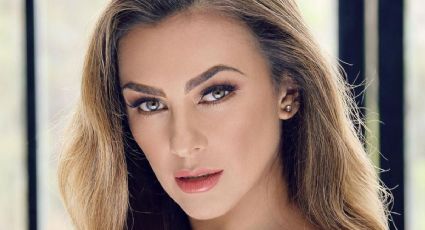 Aracely Arámbula: así es por dentro su increíble casa en Acapulco