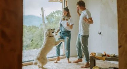 Estos son los 3 objetos que no pueden faltar en tu hogar de recién casados, según el Feng Shui