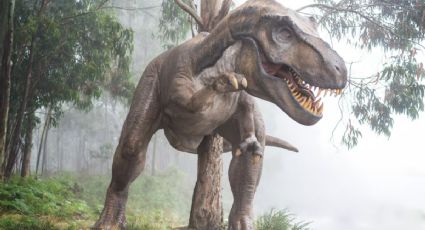 Con esta herramienta, puedes conocer dónde estaría tu casa en la época de los dinosaurios