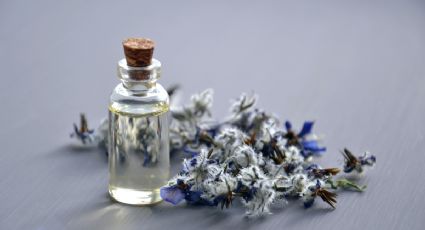 Con aroma a cítricos, 3 perfumes de mujer para triunfar este verano