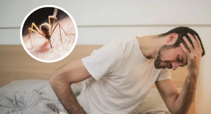 5 razones claves por las que debes evitar que te pique el dengue