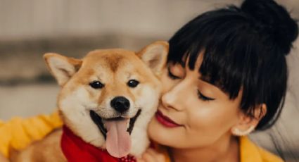 Estas son las 5 razas de perros más bonitos y simpáticos