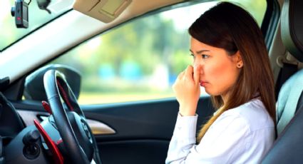 Con un elemento de tu cocina, despídete del mal olor de tu carro