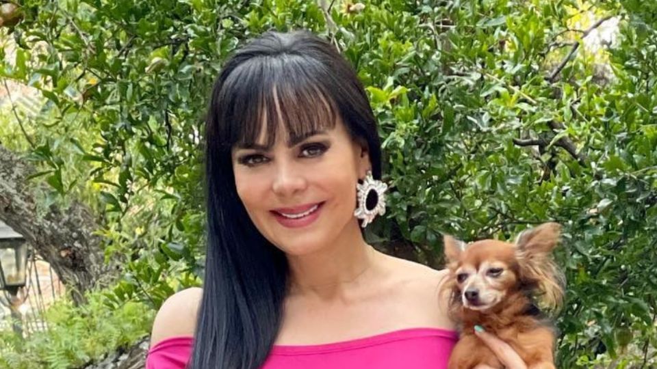 Fuente: Instagram @maribelguardia