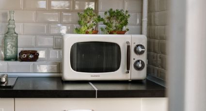 Este es el electrodoméstico que reemplazará al horno de microondas