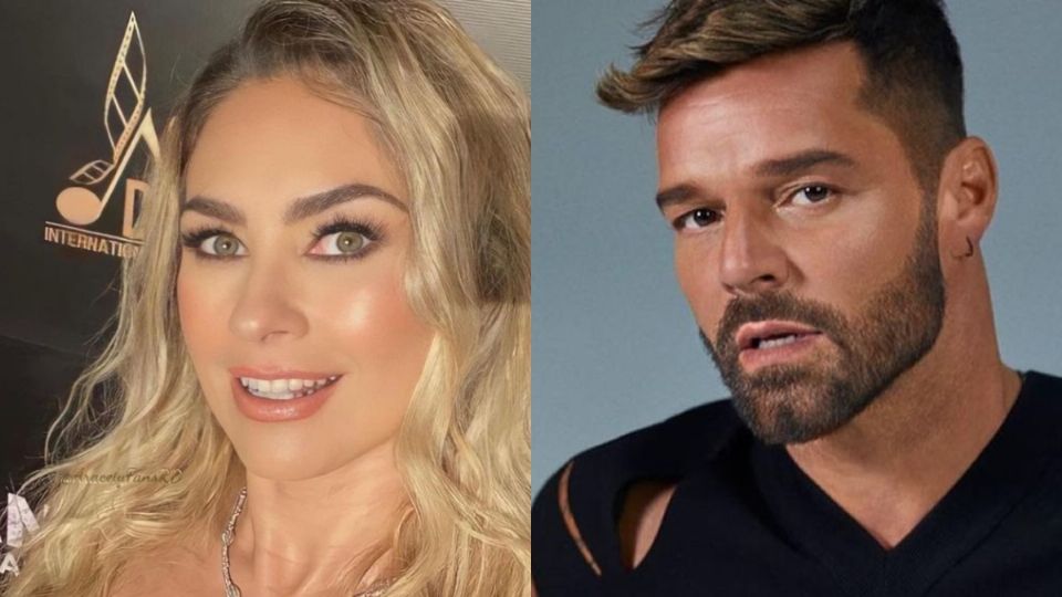 Fuente: Instagram @ricky_martin / @aracelyarambula