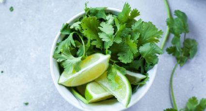 ¿Qué pasa si como cilantro si tengo diabetes?