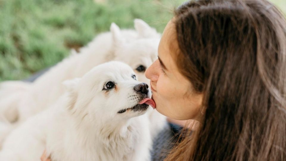 Si tu perro tiene este comportamiento, presta atención y consulta a un especialista