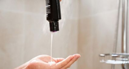 ¿Cómo usar el shampoo para eliminar las cucarachas de casa?