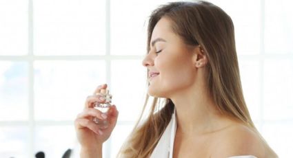 ¿Cuál es el perfume que te hace oler más rico?