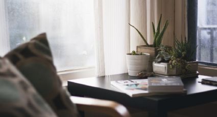 3 consejos para vivir en armonía, según el Feng Shui