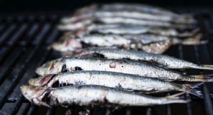 La "lista negra" de Profeco con las marcas de sardinas que no deberías comprar