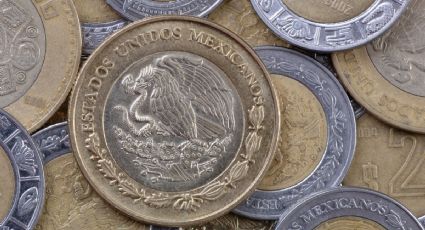 Numismática: cuáles son las monedas más buscadas y cuánto pagan