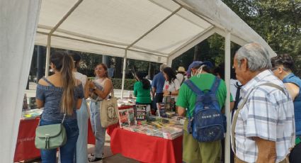 Atención fanáticos: así puedes comprar libros por 10 pesos antes de su destrucción