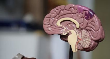 5 señales de que puedes estar sufriendo un tumor cerebral