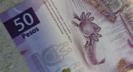 ¿Cuál es la imagen oculta detrás del billete de 50 pesos?