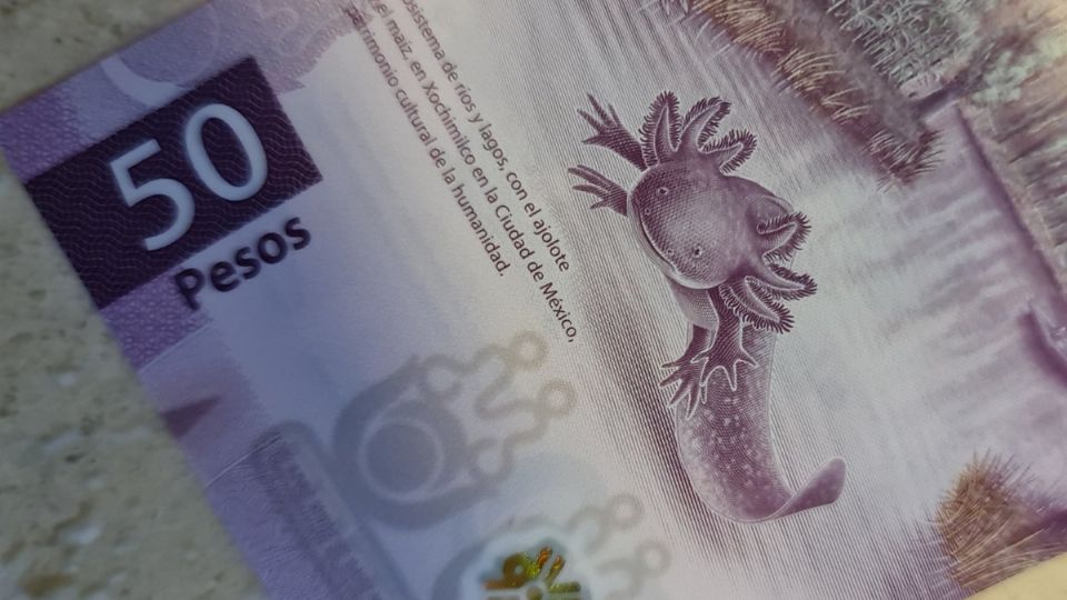 Billete de 50 bajo luz ultravioleta. Fuente: Pexels.