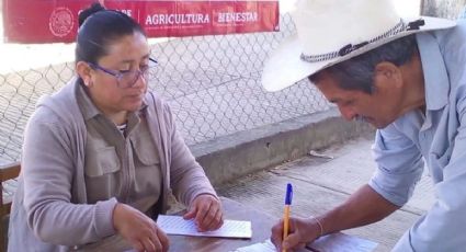 Pensión Bienestar: hasta cuándo puedes registrarte para recibir 4.800 pesos