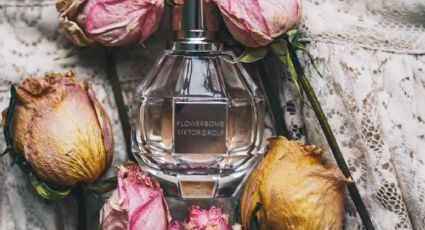 Descubre cuál es el perfume con olor a rosas, perfecto para mujeres delicadas