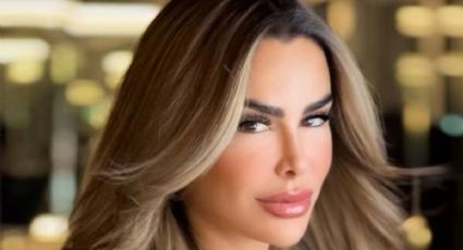 Ninel Conde se fotografió desde su avión privado y se llevó todas las miradas