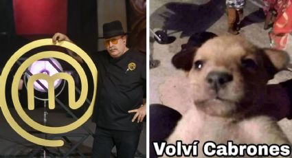 Estos son los mejores memes que dejó el primer episodio de MasterChef Celebrity México