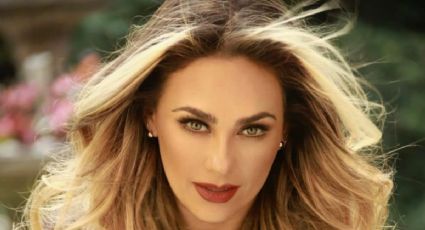 El particular apodo que Aracely Arámbula usó para Luis Miguel e hizo estallar a todos de risa