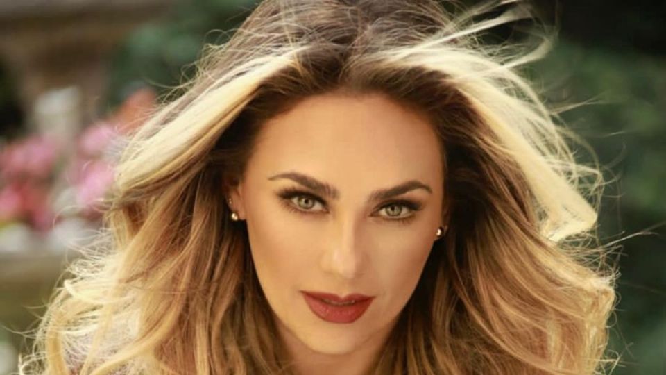 Fuente: Instagram @aracelyarambula
