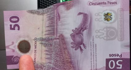 Ofrecen 3 millones de pesos al dueño del billete de 50 pesos con estas características