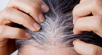 ¿Cómo desaparecer las canas sin tinte? El truco que te hará lucir impecable