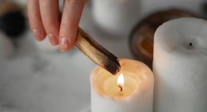 Con sólo un palo santo: 3 ideas para atraer la fortuna a tu hogar, según el Feng Shui