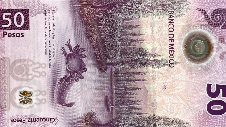 Conoce cuándo dejará de estar en vigencia este popular billete.